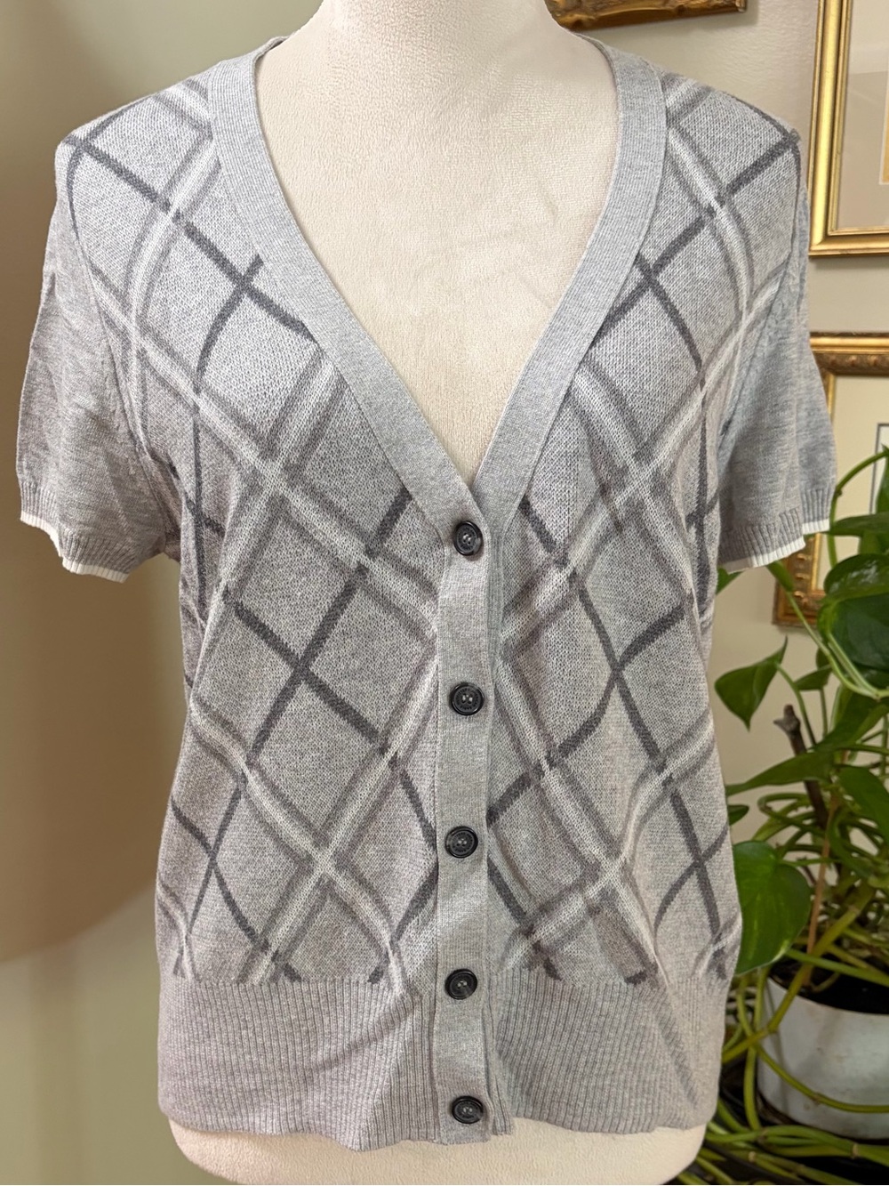 American Eagle Outfitters SZXL Light Gray V-Neck Short-Sleeve Button Cardigan